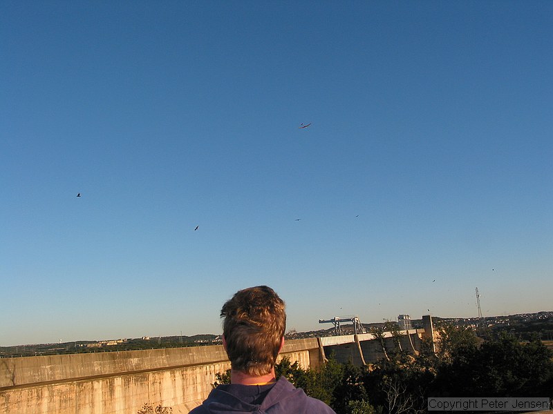 me, my bad haircut (and lack of a shower today), Mansfield dam, lots of birds, and my Terminator HLG in lift