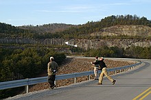 launching a wing