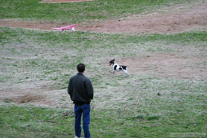 Kip's Elfi and the occasional neighborhood dog in pursuit