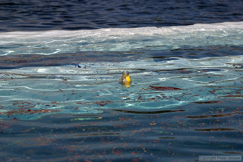 floating bottle