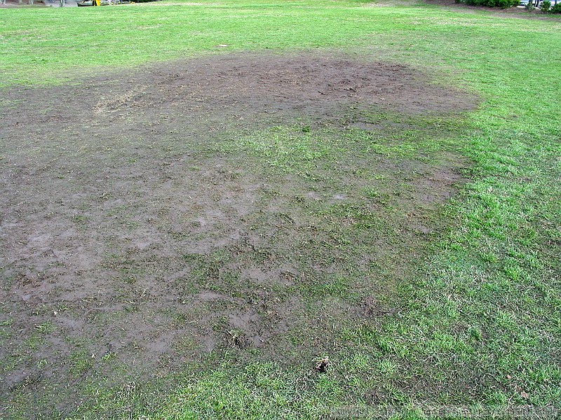 mud-patch left by the SAD concert on the IC field