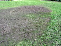 mud-patch left by the SAD concert on the IC field