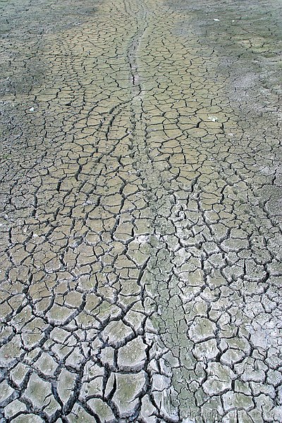 cracked mud in the channel