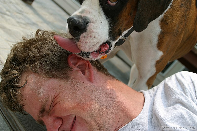 Bandit giving Peter a much-needed bath