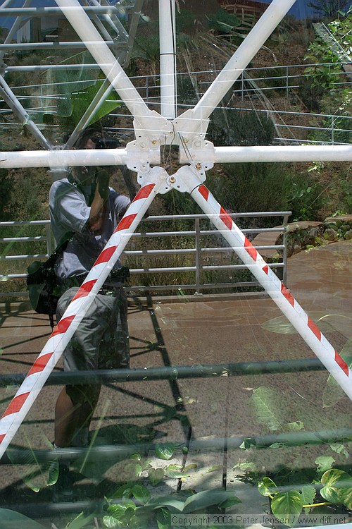 the striped bars represent emergency glass-only panes that the original "Biospherians" could break out of in an emergency