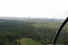 shot through the canopy of a Robinson R-44