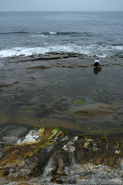 La Jolla beach