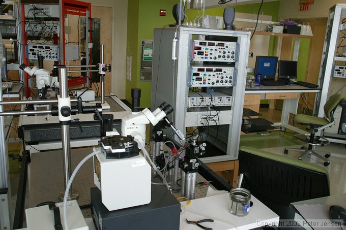 Potter Group lab