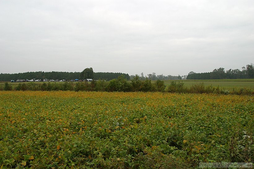 the contest site, as viewed from across a bean field on the way in