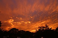 this was an absolutely beautiful sunset that only lasted for a few minutes.  I thought the sun was already gone when this came up about ten minutes later; the high altitude cloud layer really did well.   No saturation enhancement has been done.