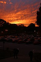 this was an absolutely beautiful sunset that only lasted for a few minutes.  I thought the sun was already gone when this came up about ten minutes later; the high altitude cloud layer really did well.   No saturation enhancement has been done.