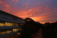 this was an absolutely beautiful sunset that only lasted for a few minutes.  I thought the sun was already gone when this came up about ten minutes later; the high altitude cloud layer really did well.   No saturation enhancement has been done.