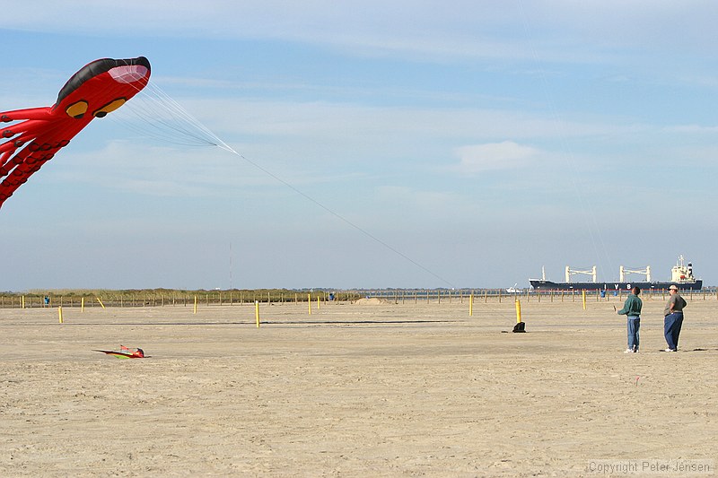 cargo ship in the distance