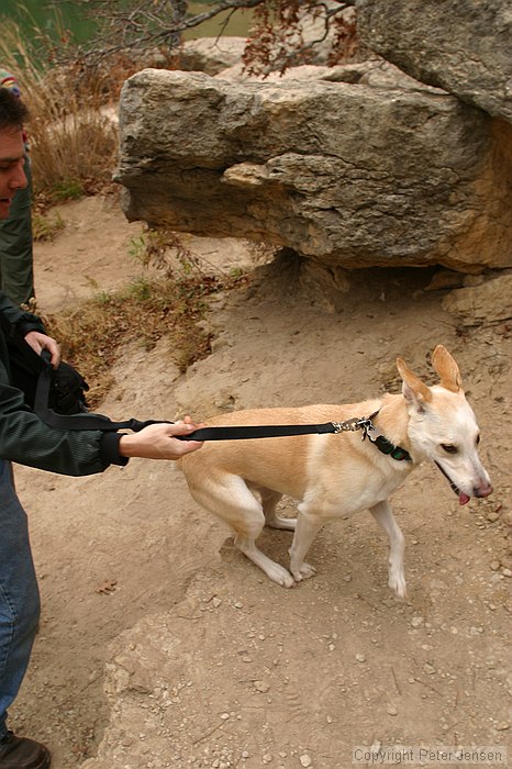 Stella leads the way