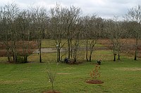 backyard (river is just past the latter grass at the treeline)