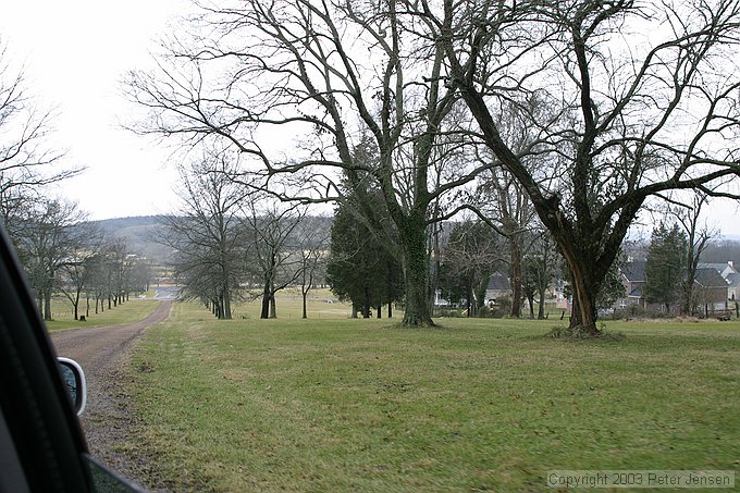 front yard