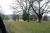 front yard