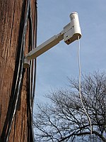 on a telephone pole near Hemphill and Ferst street on Georgia Tech campus