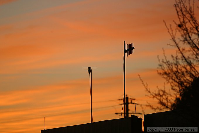 nice antennas