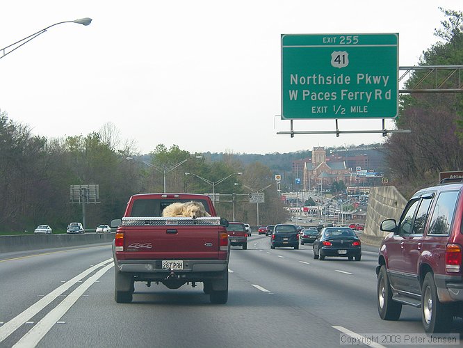 uncool animal treatment on I-75