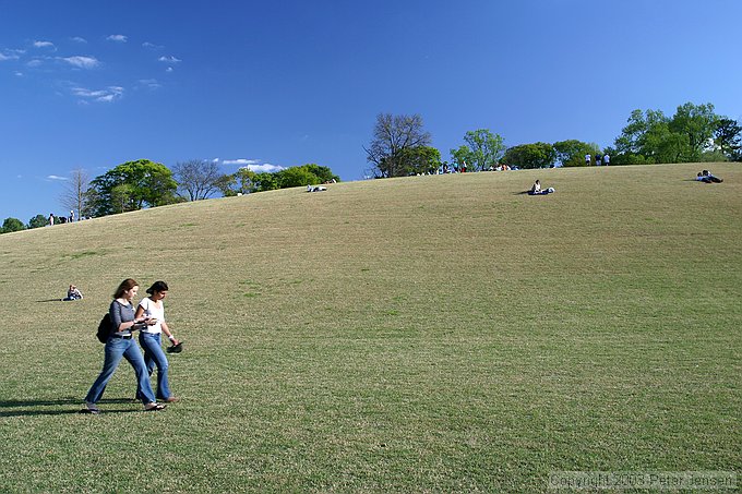 hill at Piedmont Park (looking roughly SE; 10th street is over the top of the hill.)