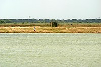 scarecrow on what appears to be a catfish tank