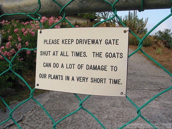 Please Keep Driveway Gate Shut At All Times: The Goats Can Do A Lot Of Damage To Our Plants In A Very Short Time