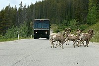 UPS driver