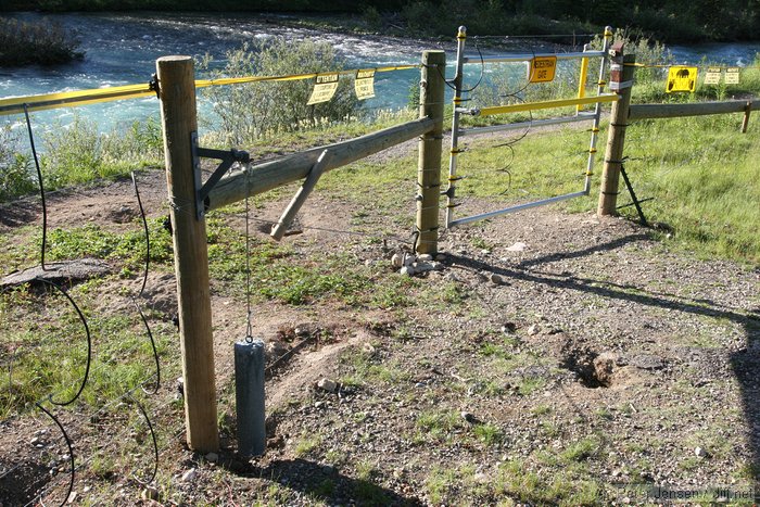 electric bear fence pedestrian gate