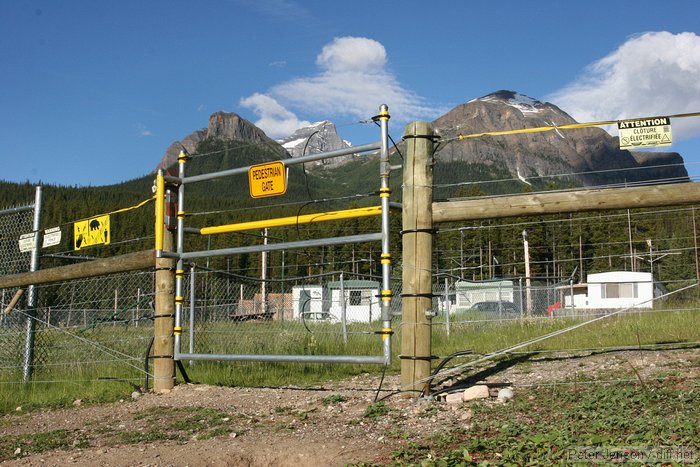 pedestrian gate for electric bear fence