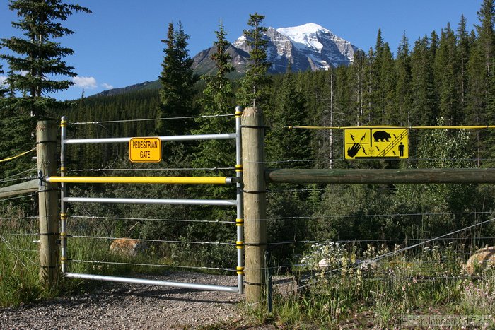 gate for the electric fence to the Lake Louise campground