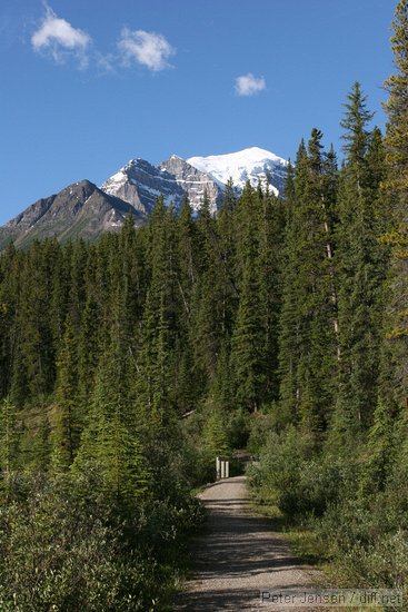 trail near the Bow river