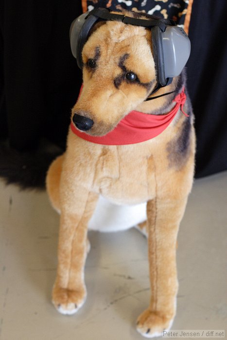 dog with headset