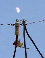 balun and moon