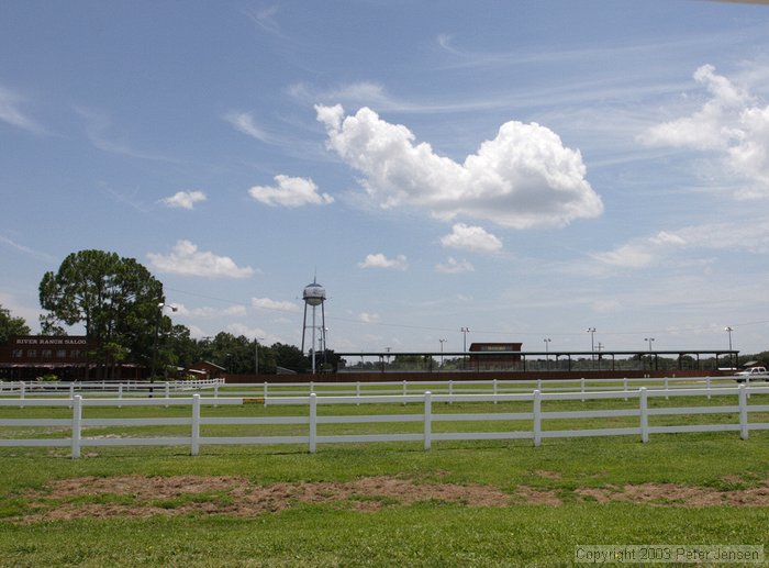 river ranch rodeo