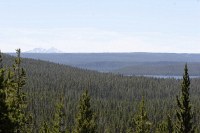 Shoshone Lake (our hiking destination) in the distance from the road