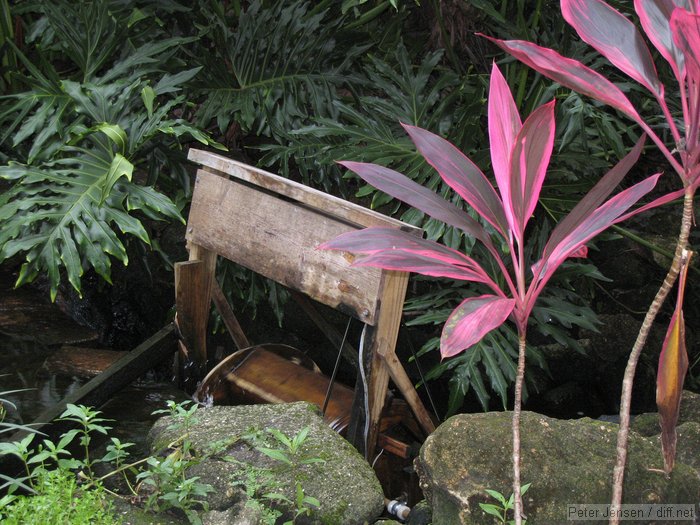 water wheel