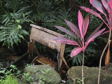 water wheel