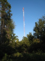 400' tower as viewed from the trail in Turkey Creek Sanctuary