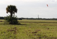 mid-air structural failure that resulted in a very light landing; looked easy to repair