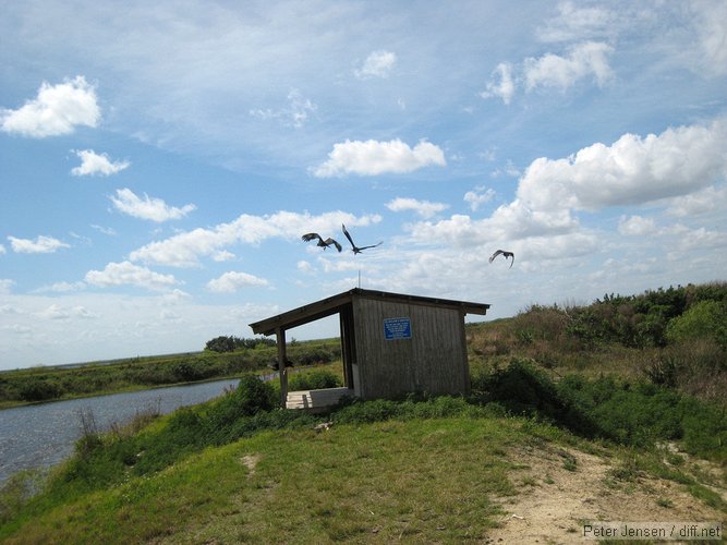 Willows Shelter - for day use only