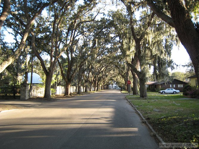 nice street in St Augustine