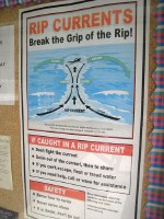 Break the Grip of the Rip!