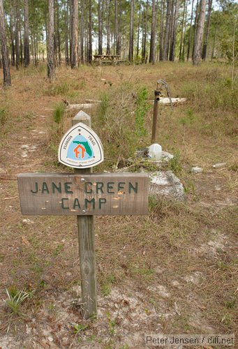 Jane Green Camp