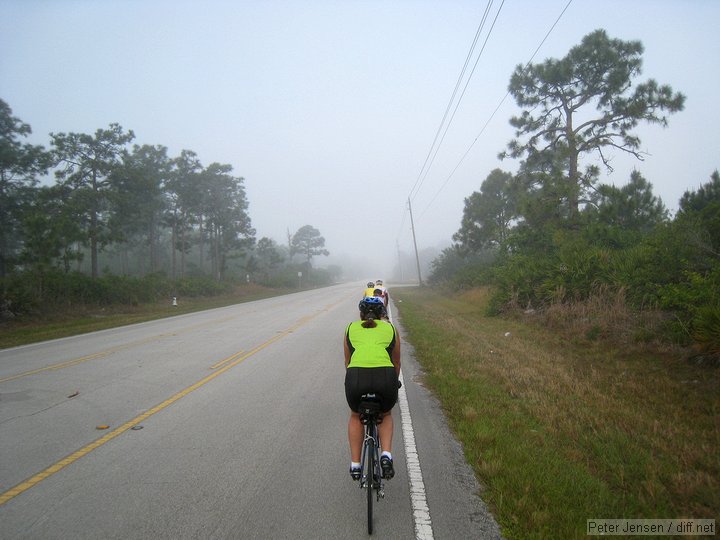 early morning fog