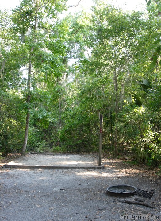 adjacent campsite - #25 at Paynes Prairie