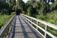 boardwalk by the lake