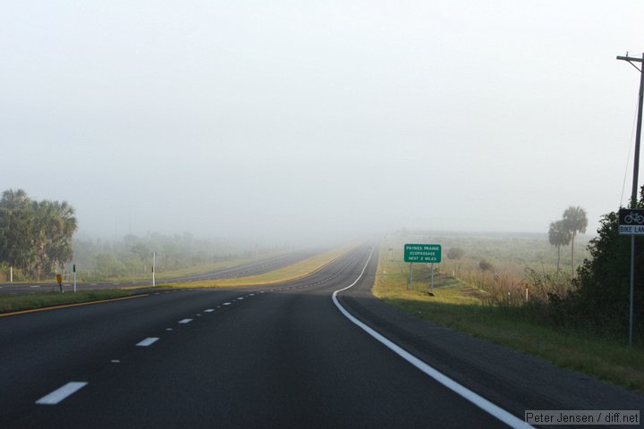 Paynes Prairie