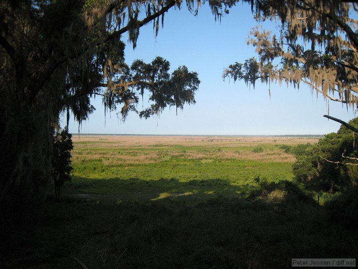 overlook on Payne's Prairie