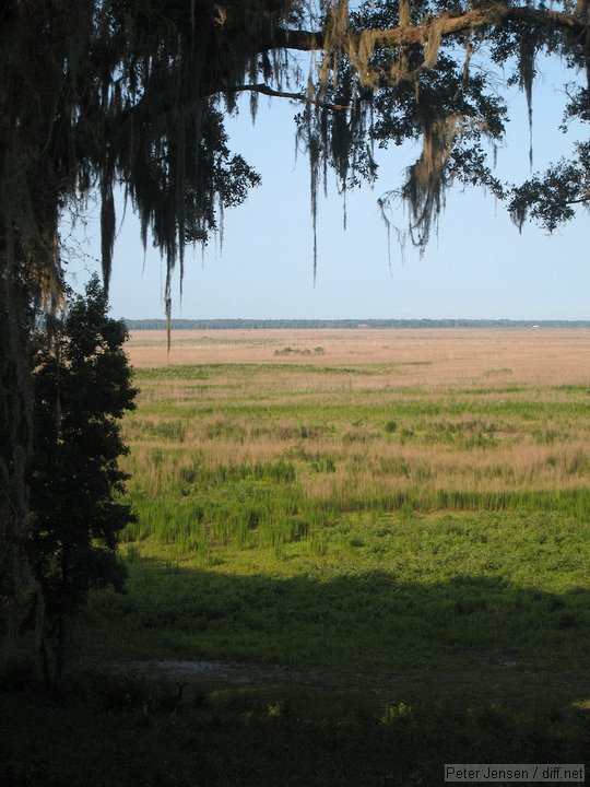 overlook on Payne's Prairie - I-75 and trucks in the background